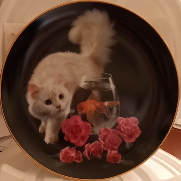 Danbury Mint Plate Collection "Coming Up Roses" 8Plates - Picture 9 of 16